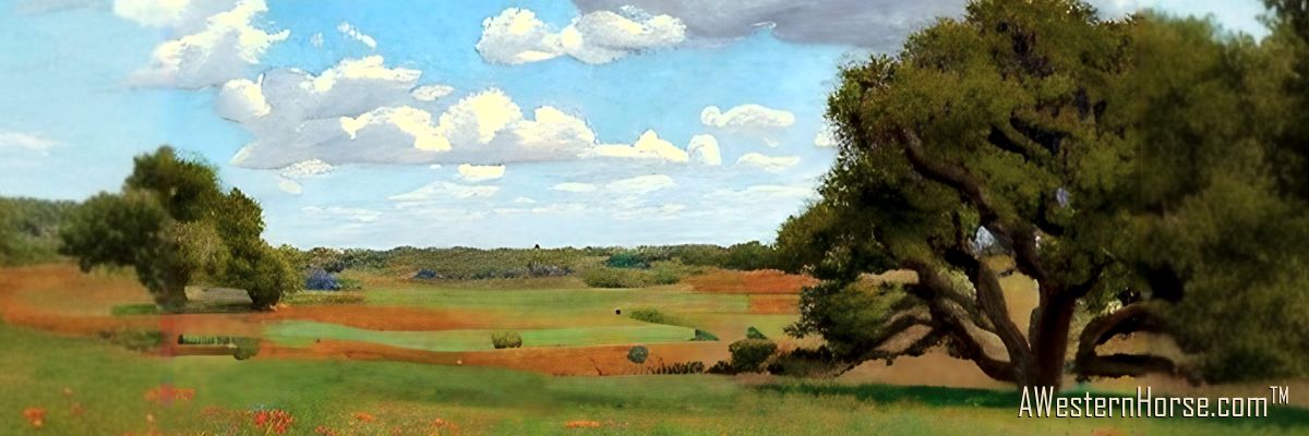 Fresh Website Design, Photos, and Hosting - Texas