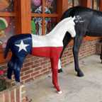 RNR Trappings in Madisonville, Texas