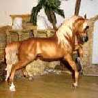 Sheila Uva equine sculpture resin