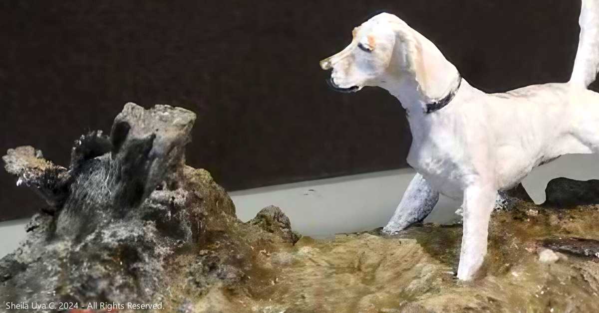 Setter with Grouse by Sheila Uva