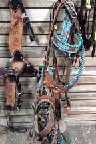 2 expo silver star saddlery headstall