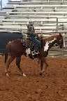 2expo paint gelding