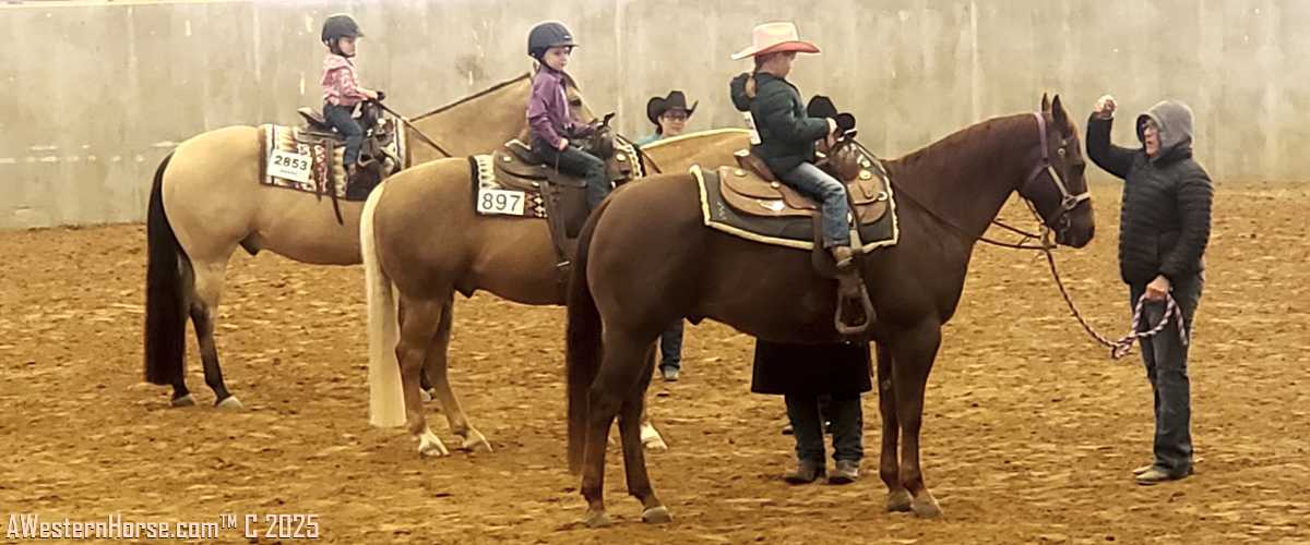 Brazos Expo Center Horse Show Exhibitors Start Young