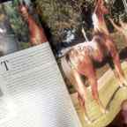 Big beautiful magazine images