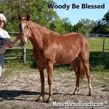 Woody Be Tuff Filly for Sale in Texas