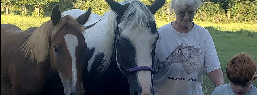 Woody Be Blessed on the left, coming in from the pasture with BJ, her mare Rocky Road, and Benjamin